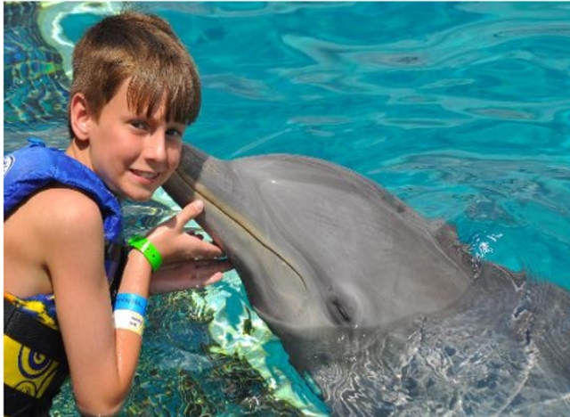 Un beso de un delfin